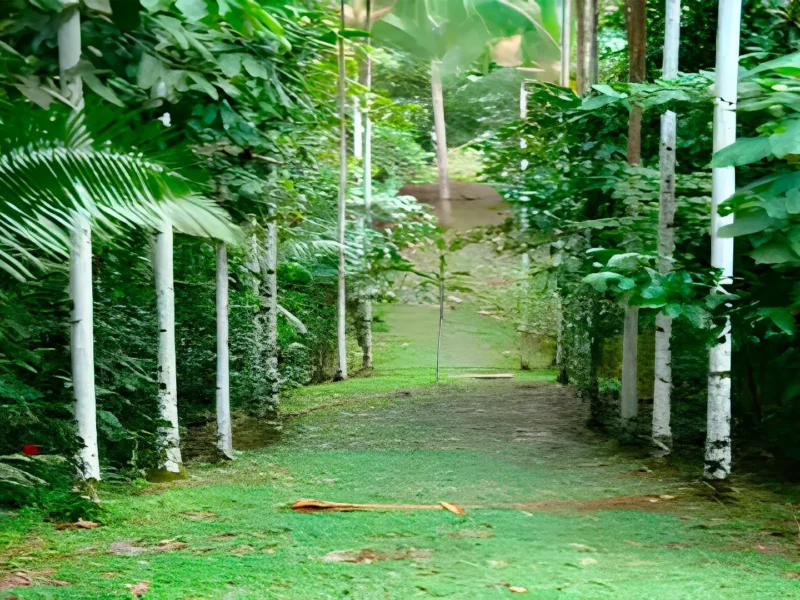 Jardín Botánico de Tunants