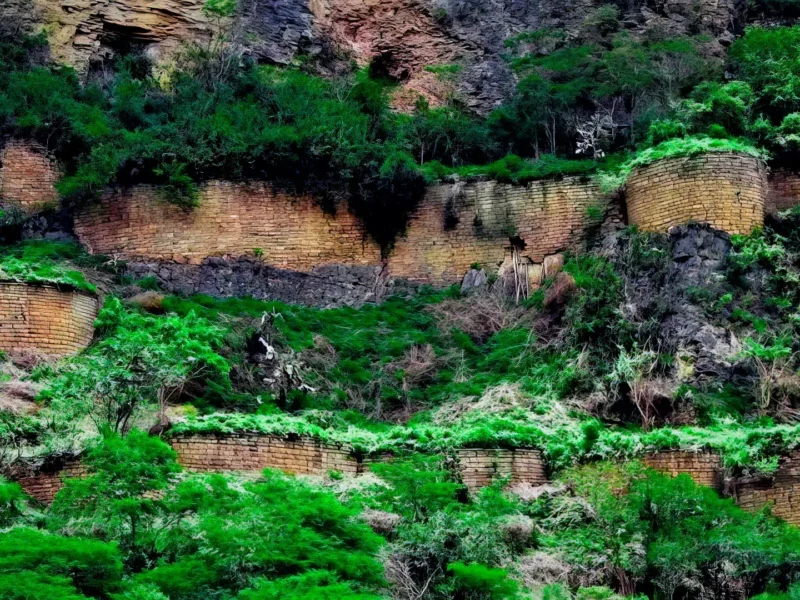 Macro: Sitio Arqueológico de Historia Viva